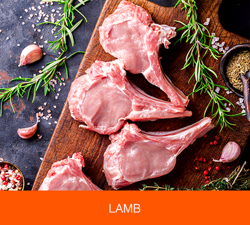 Lamb — Udom Supply